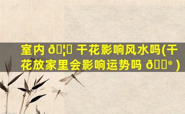 室内 🦊 干花影响风水吗(干花放家里会影响运势吗 💮 )
